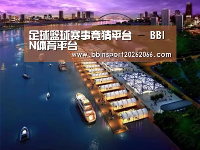 案例展示八