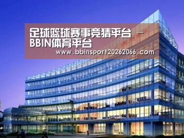 案例展示五