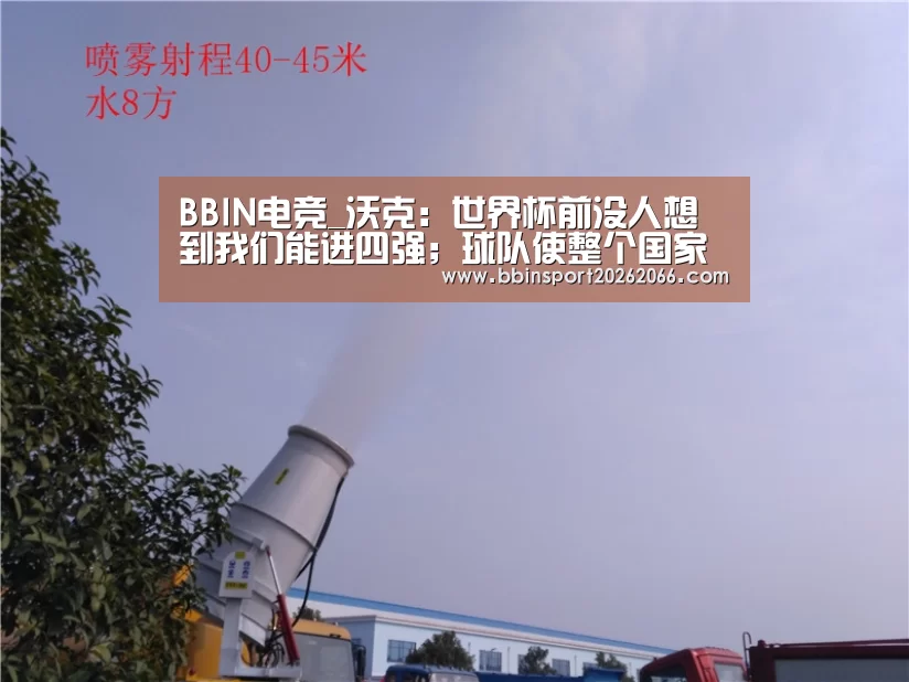 BBIN电竞_沃克:世界杯前没人想到我们能进四强;球队使整个国家凝聚(图4) BBIN电竞