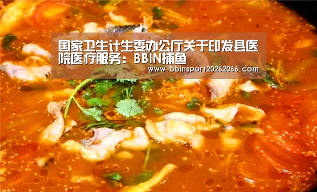 国家卫生计生委办公厅关于印发县医院医疗服务:BBIN捕鱼(图2) BBIN电竞
