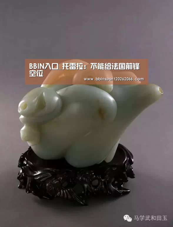 BBIN入口_托雷拉:不能给法国前锋空位(图4) BBIN捕鱼