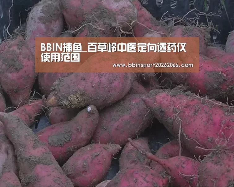 BBIN捕鱼_百草岭中医定向透药仪使用范围(图1) BBIN捕鱼