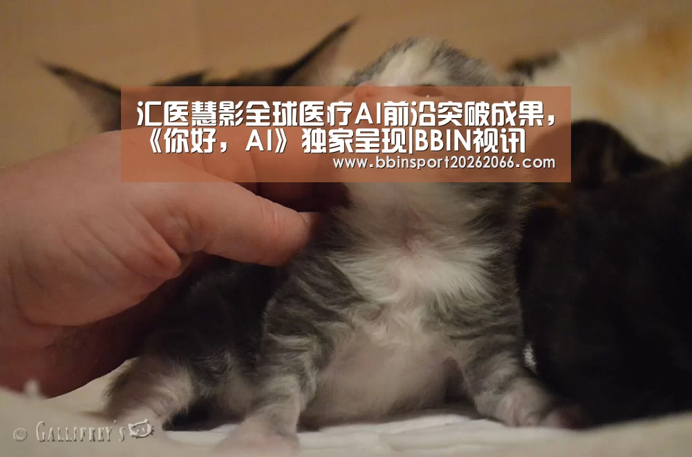 汇医慧影全球医疗AI前沿突破成果,《你好,AI》独家呈现|BBIN视讯(图2) BBIN视讯